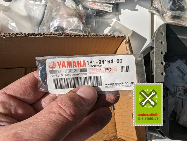 PXL_20240528_153634309